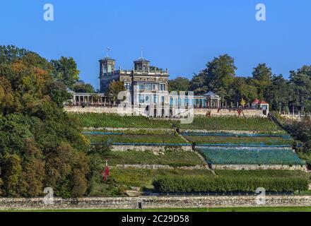 Lingner Palace, Dresden, Deutschland Stockfoto