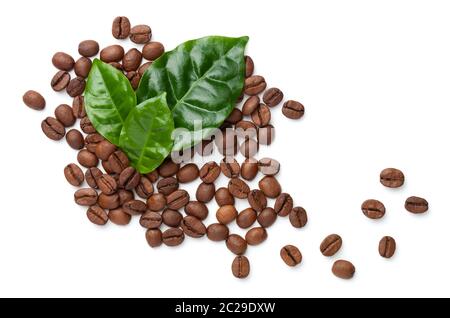Kaffeebohnen mit grünen Blättern isoliert auf weißem Hintergrund. Flach liegend, Draufsicht. Gerösteter arabica Stockfoto