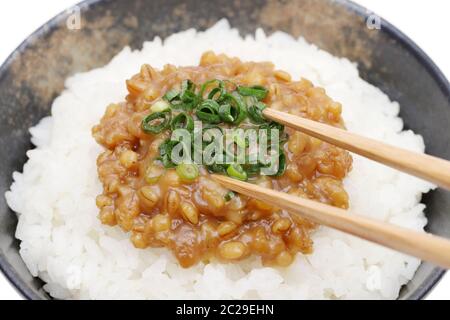 Japanisches Essen, gekochten Reis mit Moromi miso auf weißem Hintergrund Stockfoto