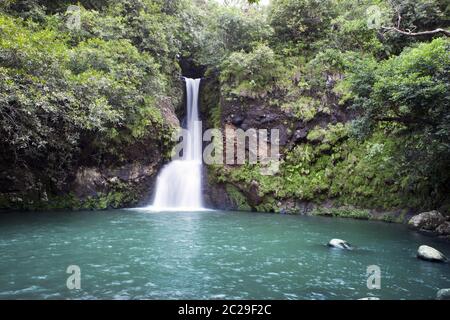 Mauritius. Kleine Wasserfälle im Tal von 23 Farben der Erde Park in Mare-aux-Aiguilles Stockfoto