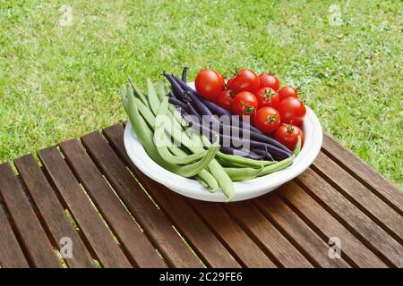Frisch geerntete Calypso Bohnen, Bohnen und Tomaten in einer Schüssel auf einem hölzernen Picknicktisch in einem Garten Stockfoto