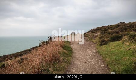 Wanderweg auf einer Klippe entlang dem Meer in Howth, Irland Stockfoto