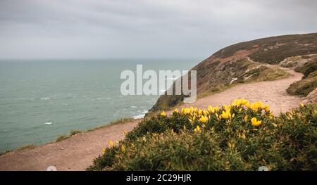 Wanderweg auf einer Klippe entlang dem Meer in Howth, Irland Stockfoto