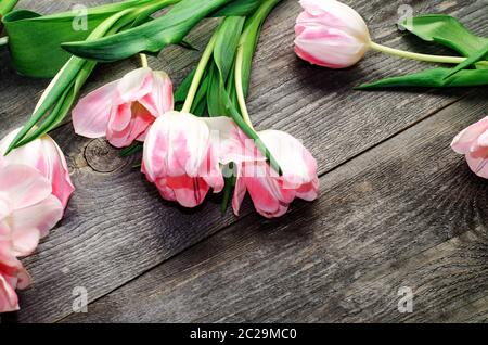 Bouquet von rosa Tulpen auf dem Hintergrund von alten Holzbrettern mit einem Platz für die Inschrift, getönte Stockfoto