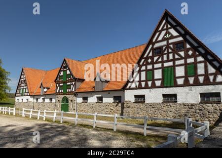 Das Gestüt Altefeld in Hessen Stockfoto