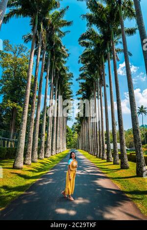 Frau, die Palmallee in den Royal Botanical Gardens in Kandy Sri Lanka erkundet. Asiatische tropische Landschaft Reise Landschaft Stockfoto
