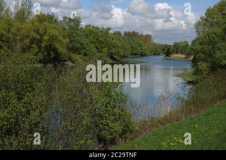 Altrheinarm im Rheingebiet bei Rastatt Stockfoto