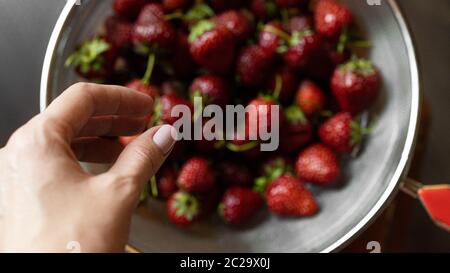 Gewaschen, süß, leckere Erdbeeren in einem Sieb nur aus dem Garten. Stockfoto