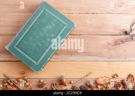 Herbst Hintergrund. Kegel, Eicheln und Holzstücke mit einem alten Buch auf einer hölzernen Hintergrund. Die Aussicht von oben. Stockfoto