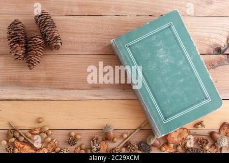 Herbst Hintergrund. Kegel, Eicheln und Holzstücke mit einem alten Buch auf einer hölzernen Hintergrund. Die Aussicht von oben. Stockfoto