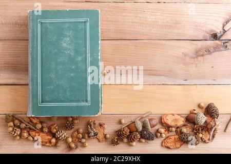 Herbst Hintergrund. Kegel, Eicheln und Holzstücke mit einem alten Buch auf einer hölzernen Hintergrund. Die Aussicht von oben. Stockfoto