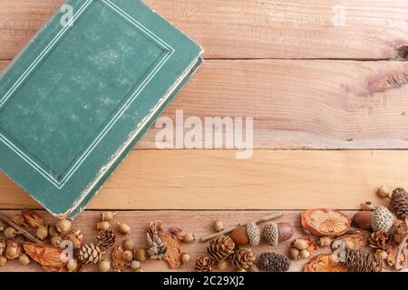 Herbst Hintergrund. Kegel, Eicheln und Holzstücke mit einem alten Buch auf einer hölzernen Hintergrund. Die Aussicht von oben. Stockfoto