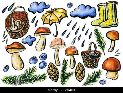 Herbst Wald Konzept. Pilze sammeln. Steinpilze, Weidenkörbe, einem gelben Regenschirm, green Polka Dot Stiefel, Kiefer, Zweige und Zapfen, blueber Stockfoto