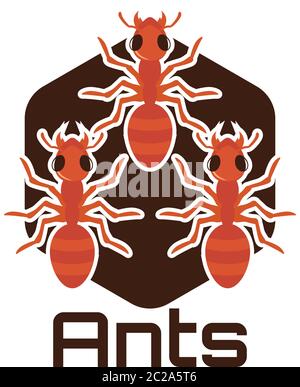 Ameisen-Logo isoliert auf weißem Hintergrund, Vektorgrafik Stock Vektor