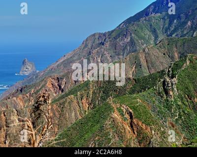 Blick über die markanten, leicht grünen Bergrücken der Anaga Mountains, auf der linken Seite blau, glatter Atlantik und blauer Himmel. Stockfoto