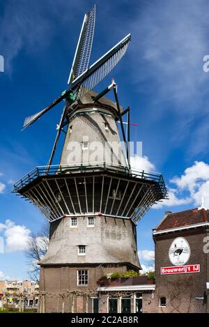 Niederländische Windmühle gegen einen schönen blauen Himmel mit Wolken in Amsterdam, Niederlande Stockfoto