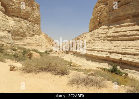 Ein avdat Canyon in Israel Stockfoto