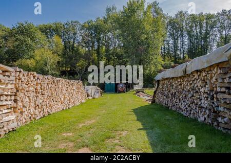 Zwei Stapel von Protokollen für die Trocknung in einer Wiese von Belgien gestapelt, Haufen von Protokollen. Stockfoto