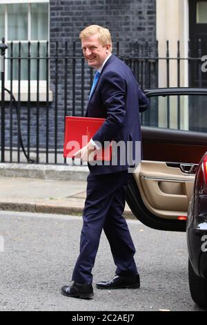 Der Minister für Kultur, Medien und Sport Oliver Dowden kommt in der Downing Street 10 in London an. Stockfoto