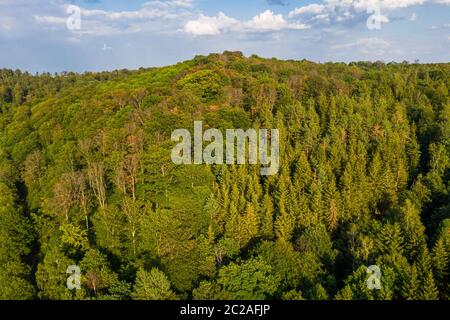 Güntersberge im Harz Stockfoto