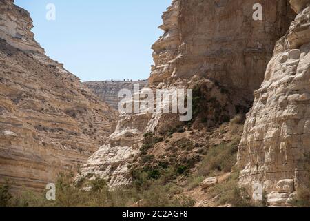 Israel Negev Wüste Sede Boker. Toller Blick auf den Nakhal Tsin Rift. Schöne Berge mit buntem Sand. Ansicht von Nubian Ibex in Sde Boker, der Negev-Wüste, Süd-Israel. Stockfoto