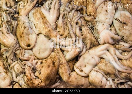 Gewöhnlicher oder Europäischer Tintenfisch mit Tinte, die auf dem Fischmarkt als Hintergrund verkauft wird Stockfoto