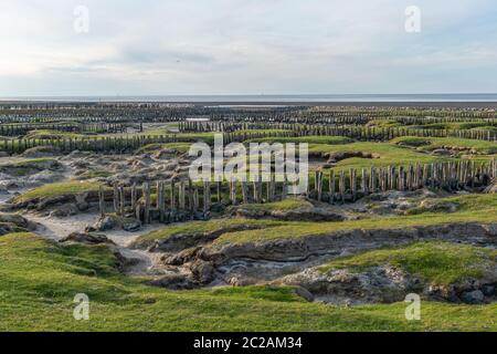 Nordseeinsel Neuwerk im Wattenmeer, Bundesland Hamburg, UNESCO-Weltkulturerbe, Nationalpark Zone II, Norddeutschland, Europa Stockfoto