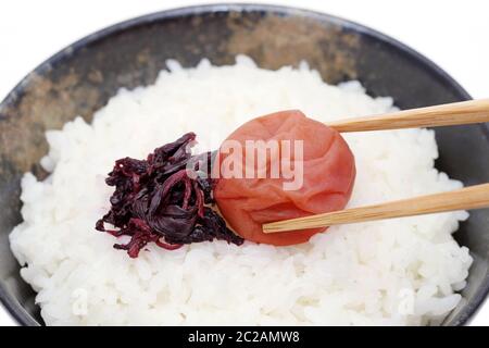 Japanisches Essen, gebeizt Salz UMEBOSHI Pflaumen auf weißer Reis, auf weißem Hintergrund Stockfoto