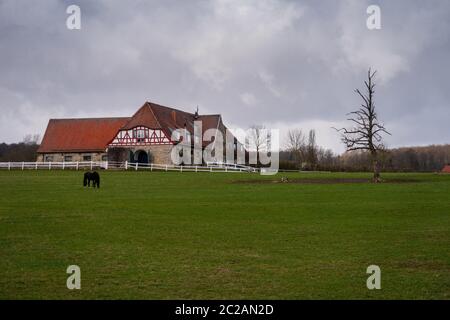 Das Gestüt Altefeld in Hessen Stockfoto