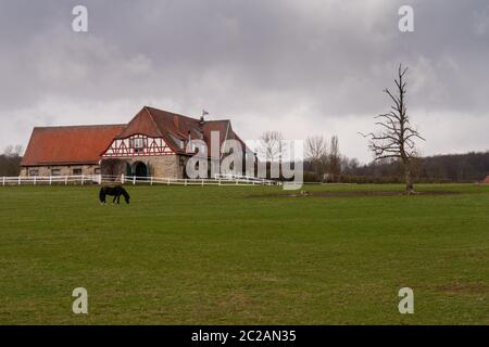 Das Gestüt Altefeld in Hessen Stockfoto