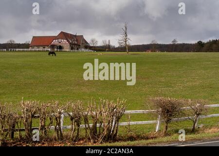 Das Gestüt Altefeld in Hessen Stockfoto