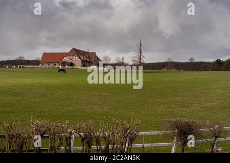 Das Gestüt Altefeld in Hessen Stockfoto