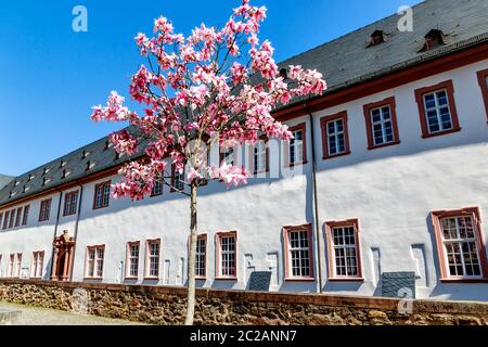 Kloster Eberbach, in der Nähe von Eltville am Rhein - mystische Erbe der Zisterzienser Mönche im Rheingau, Hessen, Deutschland Stockfoto