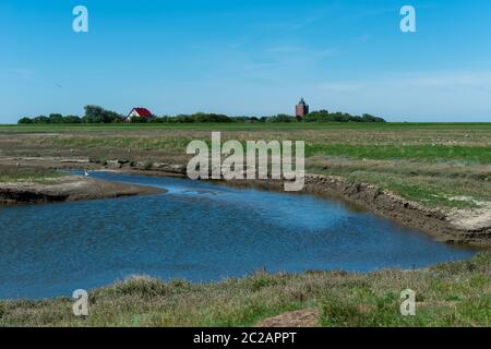 Nordseeinsel Neuwerk im Wattenmeer, Bundesland Hamburg, UNESCO-Weltkulturerbe, Nationalpark Zone I, Norddeutschland, Europa Stockfoto