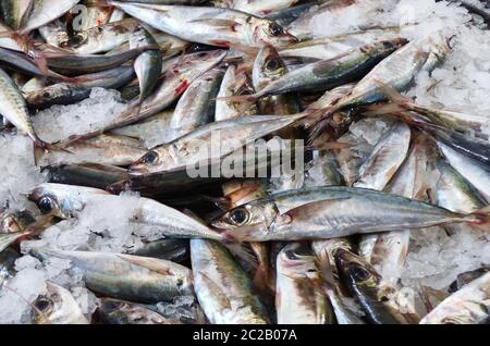 Viele kleine Fische auf Eis zum Verkauf Stockfoto