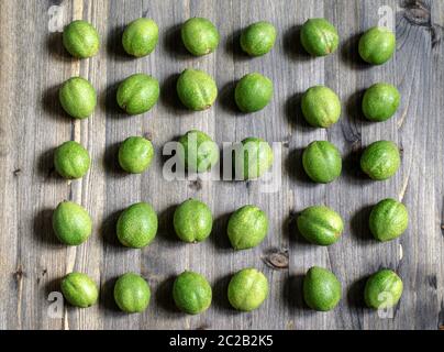 Junge grüne Früchte der Walnüsse liegen in den Zeilen auf einem grauen Hintergrund aus Holz. Stockfoto