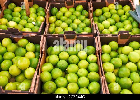 Frische Limonen in Kartons für den Verkauf auf dem Markt Stockfoto