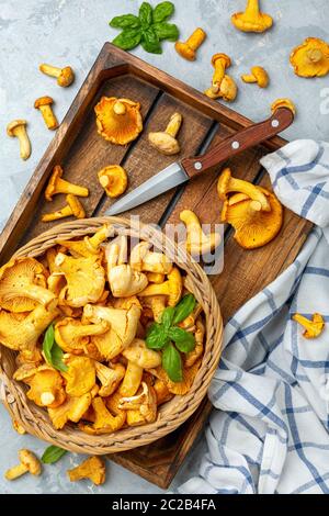 Wilde Pfifferlinge in einem Weidenkorb close-up. Stockfoto