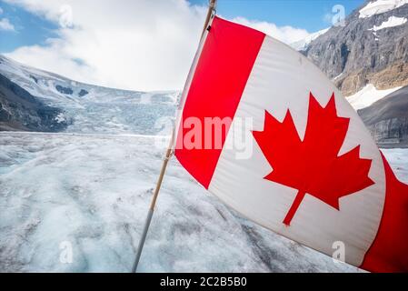 Kanadische Flagge auf dem Athabasca Gletscher im Columbia Icefield, Jasper Nationalpark, Rocky Mountains, Alberta, Kanada Stockfoto
