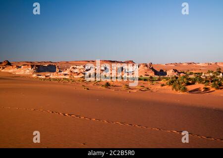 Panoramablick auf den See Boukkou Gruppe von Ounianga Serir Seen in der Ennedi, Tschad Stockfoto