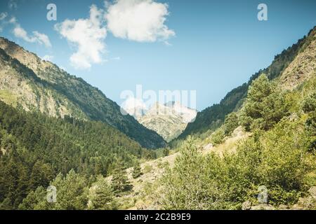 Wanderweg mit Bäumen und Vegetation in den Pyrenäen in Frankreich Stockfoto