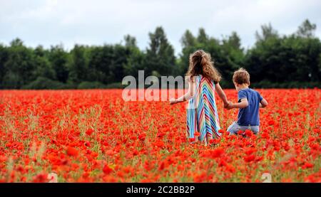 Ein atemberaubendes Mohn-Feld in den Cotswolds bei Condicote in der Nähe von Stow-on-the-Wold. Das Meer aus Rot hat Familien angezogen, um zu kommen und Fotos zu machen Stockfoto