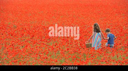 Ein atemberaubendes Mohn-Feld in den Cotswolds bei Condicote in der Nähe von Stow-on-the-Wold. Das Meer aus Rot hat Familien angezogen, um zu kommen und Fotos zu machen Stockfoto