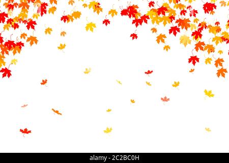 Mehrfarbige Herbstblätter Hintergrund Stockfoto