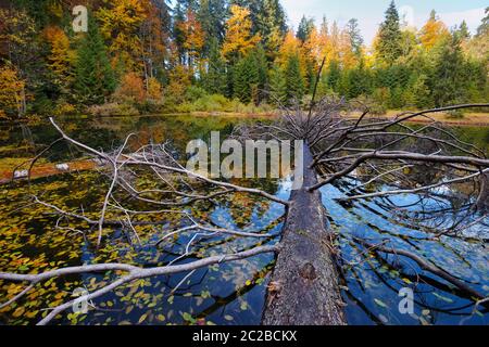 Herrliche Landschaft mit einem See im Herbstwald Stockfoto