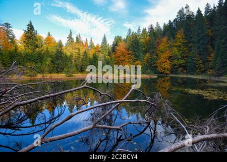 Herrliche Landschaft mit einem See im Herbstwald Stockfoto