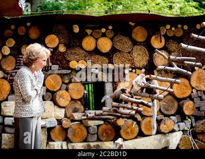 Apeldoorn, Niederlande. Juni 2020. Prinzessin Margriet von den Niederlanden am Apenheul in Apeldoorn, am 17. Juni 2020, um einen Futterwald für Zwergaffen zu öffnen, ist es ein neues Gebiet im Park mit mehreren streunenden Affenarten und einer mehr als 100 Meter langen Insektenwand Kredit: Albert Nieboer/ Niederlande OUT/Point de Vue OUT/dpa/Alamy Live News Stockfoto