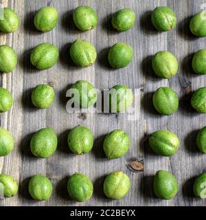 Junge grüne Früchte der Walnüsse liegen in den Zeilen auf einem grauen Hintergrund aus Holz. Stockfoto