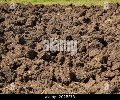 Boden drehte sich grob gesehen auf der Zuteilung Garten im Juni, bereit, verrottet und mit Süßmais gepflanzt werden. Stockfoto