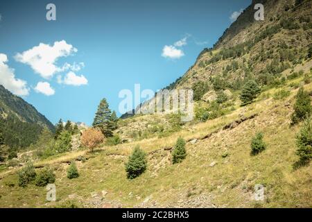 Wanderweg mit Bäumen und Vegetation in den Pyrenäen in Frankreich Stockfoto